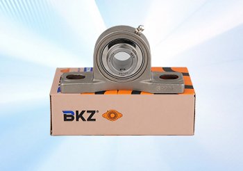 Bearings From Bkz Industry