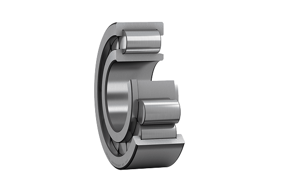 Cylindrical Roller Bearings From Bkz Industry