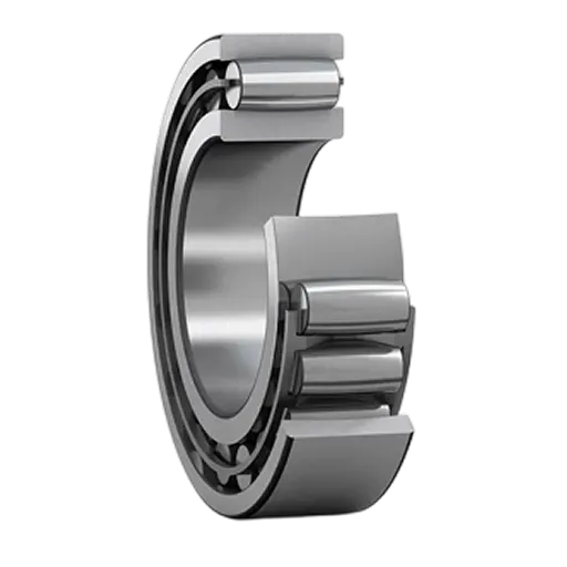 Caged Toroidal Roller Bearings