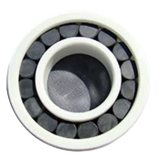 Ceramic Cylindrical Roller Bearings
