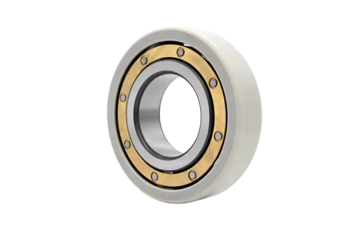 Electrically Insulated Bearings