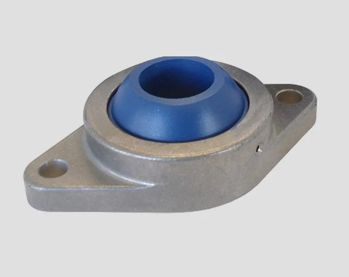 Food Grade Bearing Materials