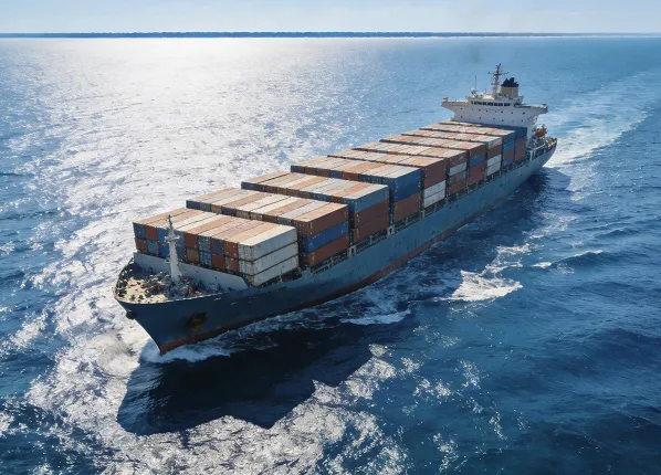 Heavy Radial Loads For Marine Bearings