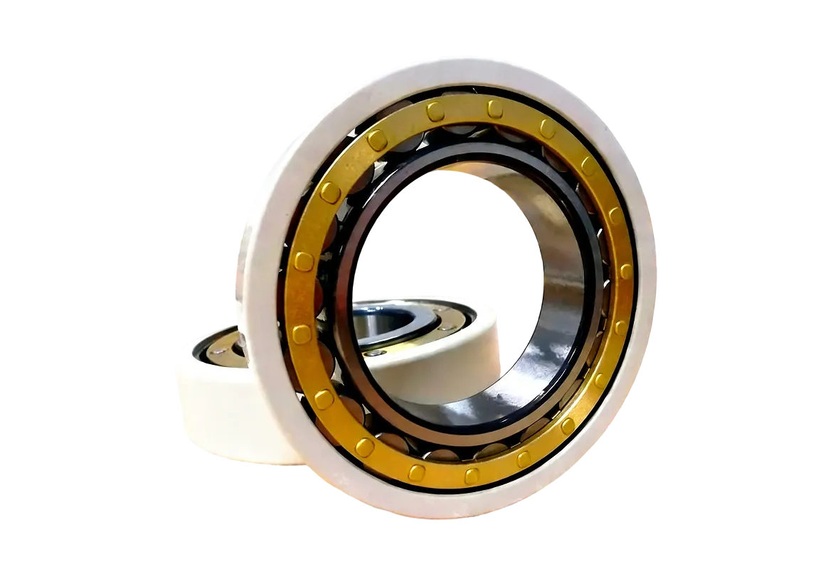 Insulated Cylindrical Roller Bearings