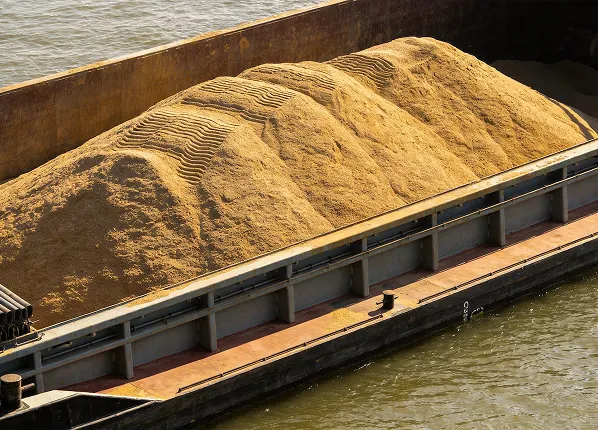 Sand And Debris Contamination For Marine Bearings